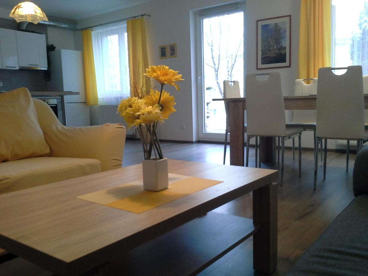 Rodinny Apartman Lucie V Blizkosti Wellness Hotelu Ve Frymburku Exterior photo