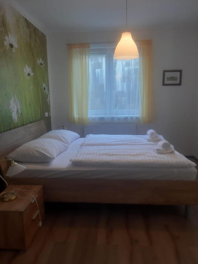 Rodinny Apartman Lucie V Blizkosti Wellness Hotelu Ve Frymburku Exterior photo